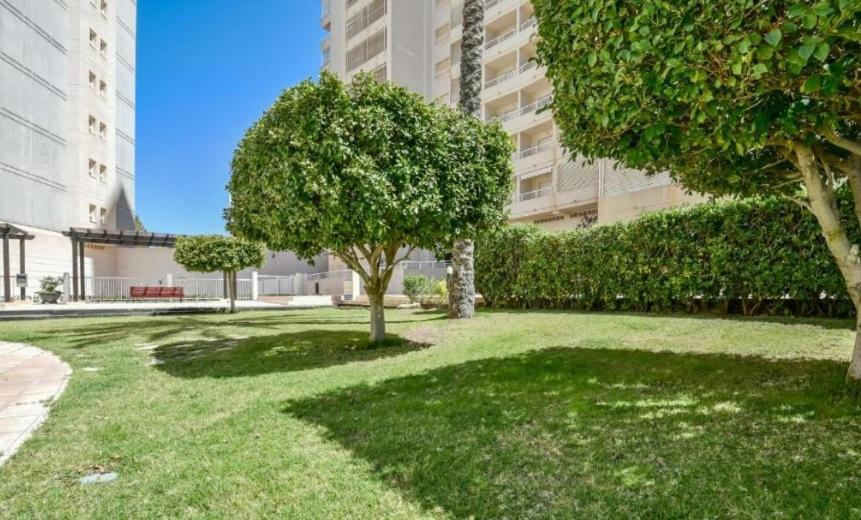 Homeincalpe Apolo XVII 1-14-41 Kültér fotó